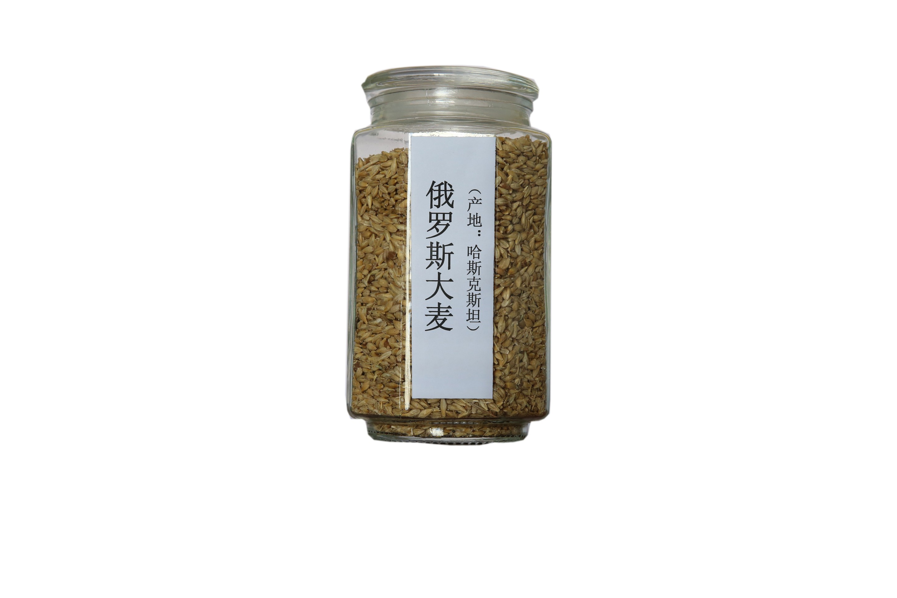 俄罗斯大麦.jpg