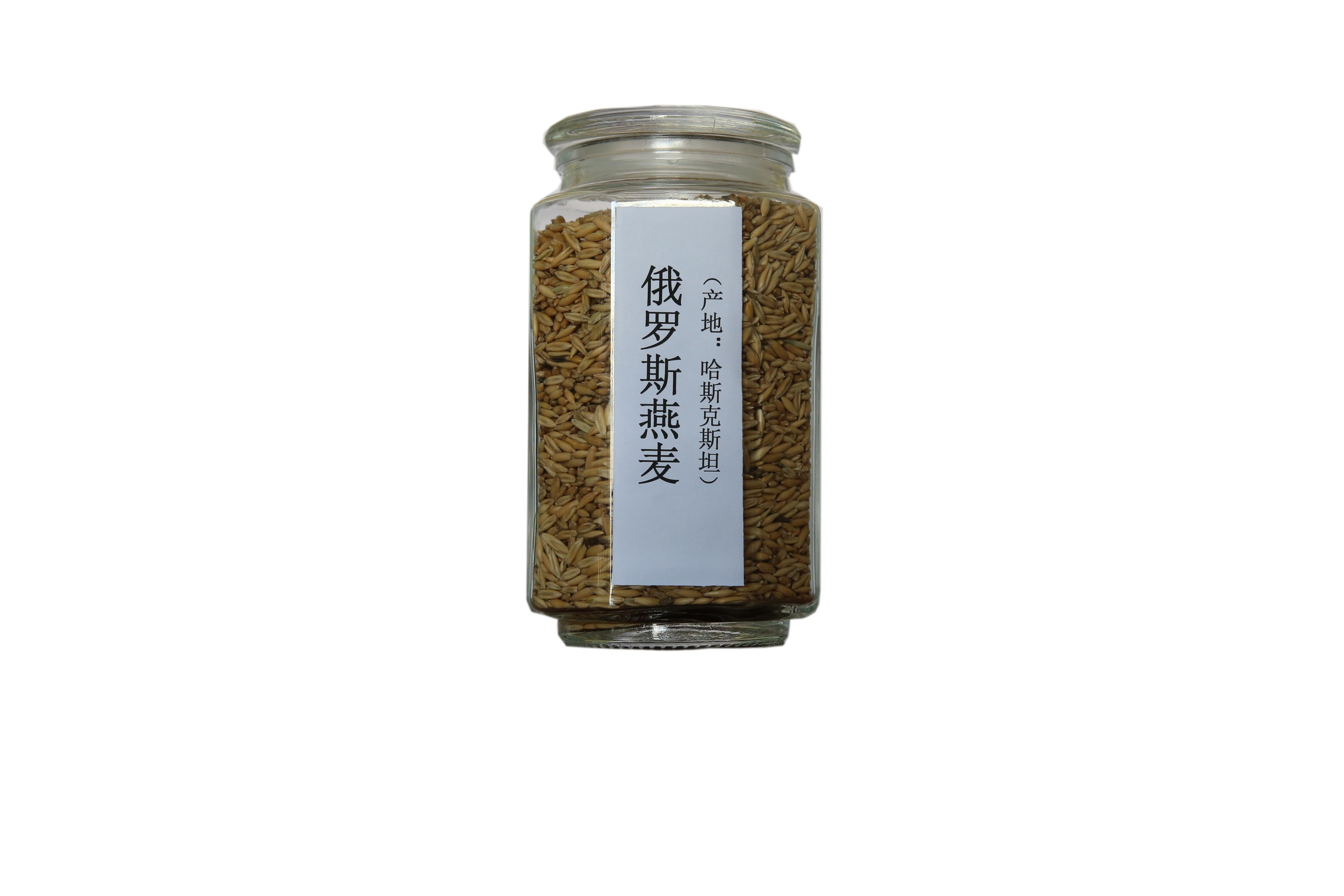 俄罗斯燕麦.jpg