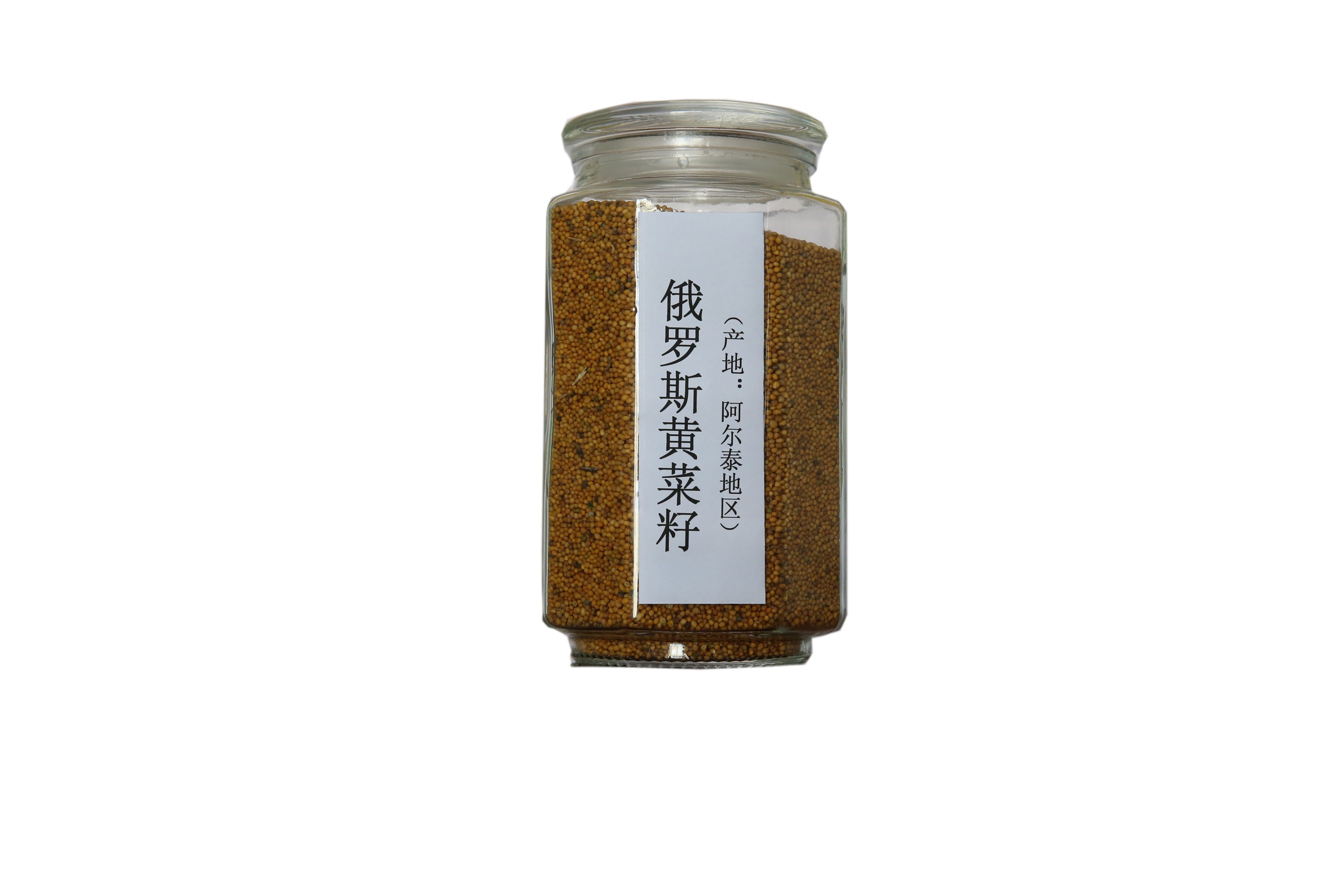 俄罗斯黄菜籽.jpg