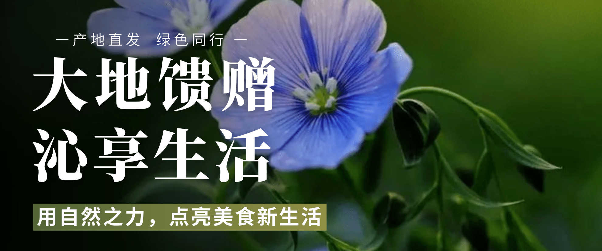 京蒙协作政协助力-沁工坊植物油邀约参会